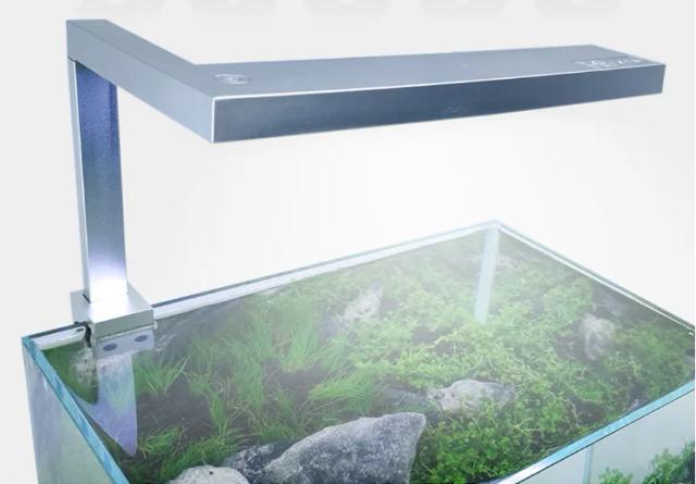 Iluminação LED para Aquário: Lâmpada com Suporte Extensível e LEDs Brancos e Azuis para Um Tanque de Peixes Deslumbrante