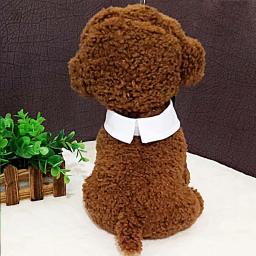 Gato do cão de estimação formal gravata borboleta colar para gato do cão acessórios para animais de estimação terno animal ajustável listrado laço pescoço para festa - Image 2