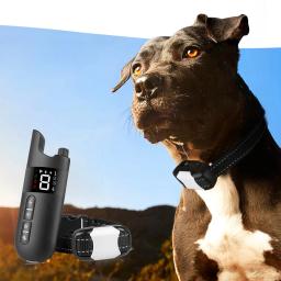 Pet treinamento de controle remoto coleira do cão com vibração choque som recarregável elétrica à prova dwaterproof água colar de treinamento do cão suprimentos - Image 2