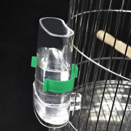 Bebedouro automático para pássaros de estimação, gaiola automática, alimentador de alimentos, papagaio, calopsita, distribuidor de água para pássaros, bebedor alimentador - Image 6