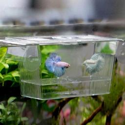 Acrílico tanque de peixes caixa de isolamento de reprodução aquário incubadora titular suprimentos de peixes acessórios de aquário de reprodução de peixes - Image 5