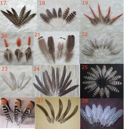 Plumas! Natural Penas De Faisão Para Artesanato, Acessórios De Jóias, Decoração De Férias De Natal, Opcional, De Alta Qualidade, 10Pcs - Image 4