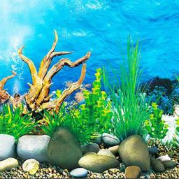 Papel de fundo para aquário, imagem hd, 3d, três dimensional, tanque de peixes, pintura de fundo, dupla face, aquário, decorati - Image 5