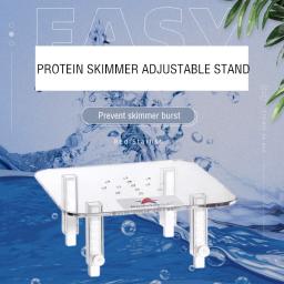 Suporte de acrílico em forma de proteína da estrela, peixe vermelho, multifuncional, ajustável, para aquário, água salgada, reef - Image 3