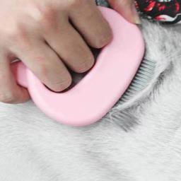 Escova de massagem para animais de estimação, pente em forma de concha, removedor de pelos de cães e gatos, ferramenta de massagem, 1 peça - Image 3