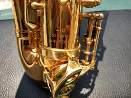 Saxofone alto de marca japonesa, de alta qualidade, saxofone e-flat, instrumento musical de performance de qualidade profissional, com bocal - Image 6