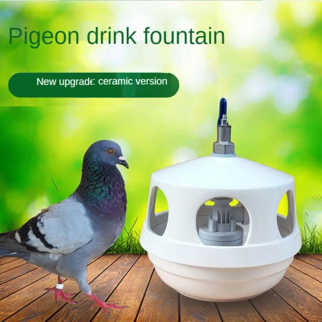 Pombo Automático de Cerâmica: Bebedouro Portátil para Aves em Jardins e Áreas Externas