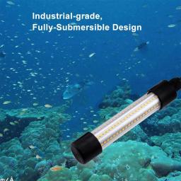 Luz LED subaquática para pesca noturna, lâmpada do barco, iluminação exterior, luz quente e fria, branco, azul e verde, 2 W, 12V - Image 6