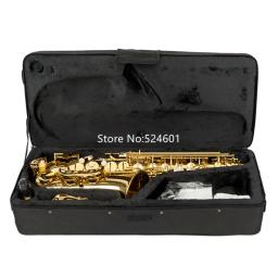 Alto Drop E Sax saxofone com caso, instrumento musical profissional, de alta qualidade, pintura do estudante, Eb Tune, frete grátis - Image 5