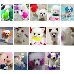 Creme de coloração brilhante para animais de estimação, 80g, animais de estimação, corante não tóxico, agente de pigmento de tingimento, acessórios seguros para cães - Image 6