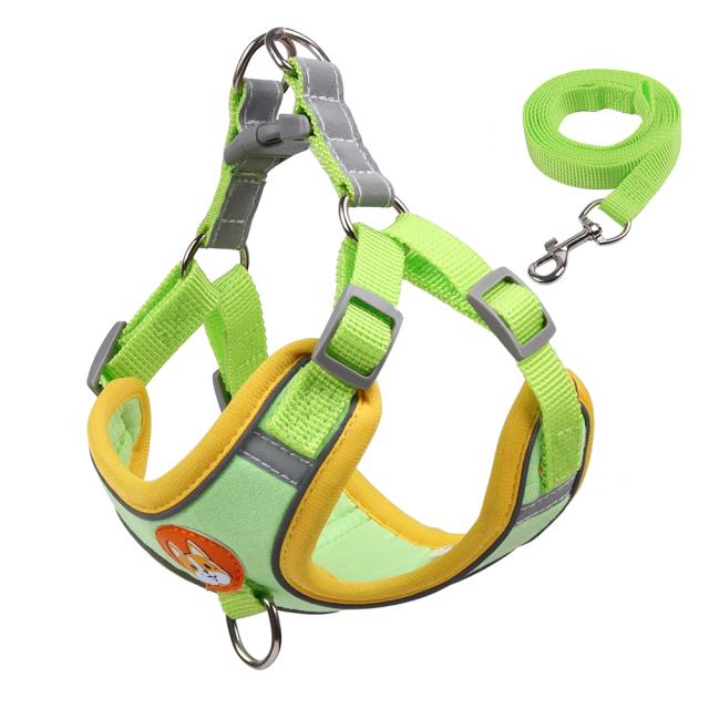 Arnês Refletivo para Cães de Médio e Pequeno Porte com Colete, Alça Torácica e Trela Ideal para Caminhadas e Corridas
