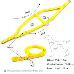 Coleira colorida para cães e gatos, guia para treinamento e transporte de animais de estimação, 24 peças - Image 6