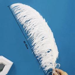 10 pçs natural branco avestruz pena artesanato diy pluma penas jóias fazendo festa de casamento natal plumas decoração 15-70cm - Image 2