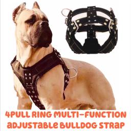 Coleira para cachorro grande, coleira para cachorro de grande porte, pit bull, acessórios de produtos para animais de estimação - Image 2