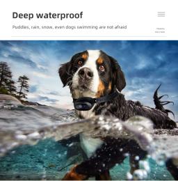 Nova coleira de cachorro 800m T-600 pet ferramenta colar de treinamento diário para cães à prova dwaterproof água recarregável colar receptor de controle remoto colar - Image 5