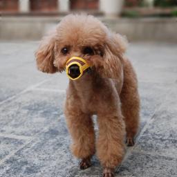 Focinho de nylon para cachorro, focinho de malha de nylon para cães pequeno, médio e grande - Image 2