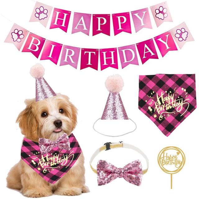 Festa de Aniversário com Tema de Cão: Decoração de Faixas, Chapéus, Corona e Mais