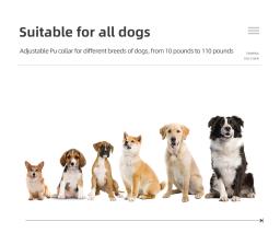 Nova coleira de cachorro 800m T-600 pet ferramenta colar de treinamento diário para cães à prova dwaterproof água recarregável colar receptor de controle remoto colar - Image 6