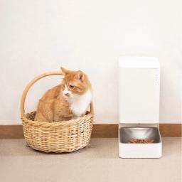 Xiaomi mijia inteligente automático dispensador de alimentos para animais estimação tigela controle app ligação inteligente para cães gatos alimentação - Image 2