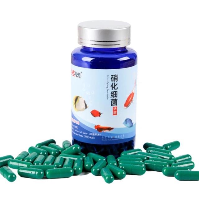 Cápsulas Concentradas Nitrificantes para Aquários MY06 e MY21 - Disponíveis em Pacotes de 20, 30, 80 e 100 Peças para Limpeza e Alimentação em Água Fresca