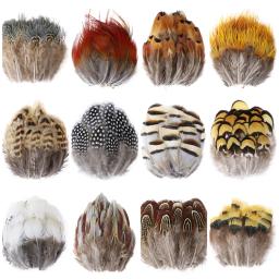 Faisão natural galo penas para artesanato jóias que faz a roupa costura acessórios decoração 5-8cm plumas atacado 50 pçs - Image 1