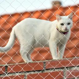 Rede de segurança de malha transparente para varanda e janela, Bebê e criança cerca, Cat Protective Fence, Nylon - Image 1