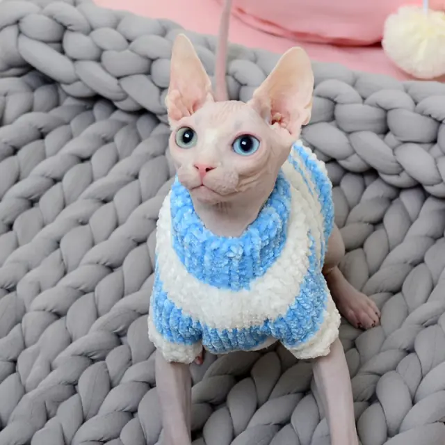 Roupas Quentes de Inverno para Gatos: Camisolas, Hoodies e Pulôveres para Sphynx e Outros Animais de Estimação