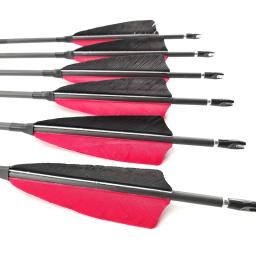 Arco recurvo de flecha de carbono para caça, flecha de carbono para arco longbow, 500, 600, 700, 800, 30 polegadas, 6/12 peças - Image 5