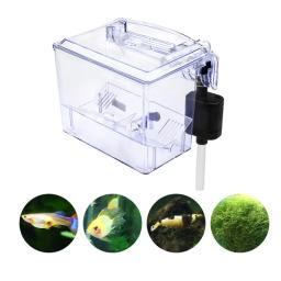 Transparente Fish Tank Isolation Box com bomba de água, montagem na parede, externo Aquarium Breeding Box, Fish Bowl Incubadora - Image 3