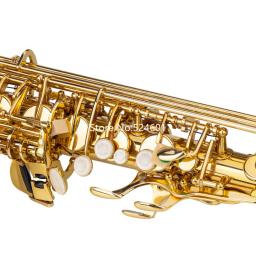 Alto Drop E Sax saxofone com caso, instrumento musical profissional, de alta qualidade, pintura do estudante, Eb Tune, frete grátis - Image 3