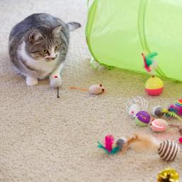 Kit de brinquedos do túnel dobrável para gato, canal divertido, bolas de penas, forma de ratos, gatinho, brincadeiras interativas, 21pcs - Image 2