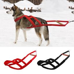 Guia para cães, durável, acolchoado, macia, para puxar peso, treinamento para cães de médio e grande porte - Image 1
