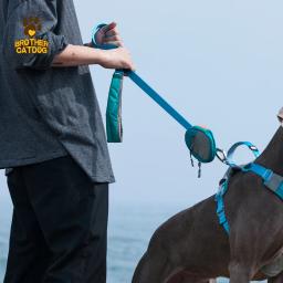 Trelas resistentes duráveis do animal de estimação com saco de cocô suprimentos para animais de estimação cão macio leva segurança reflexiva - Image 5