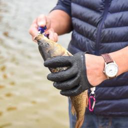 Luvas de pesca antiderrapantes de látex, Proteger a mão contra perfuração, Luvas profissionais de pescador, Esquerda e Direita, Pegar peixe, Luvas de caça - Image 6