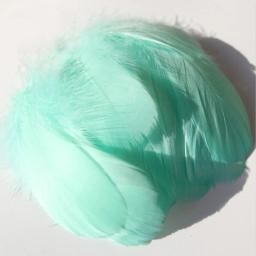 Penas de ganso naturais para decoração, penas de cisne coloridas, joias artesanais, festa DIY, 3 tamanhos, 4-15cm - Image 4