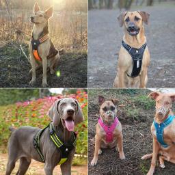 Truelove-Esporte Nylon Reflexivo Sem Puxar Arnês Do Cão, aventura Ao Ar Livre Pet Vest com Alça, XS a XL, 5 Cores, Em Estoque, Fábrica - Image 3
