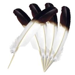 Pluma Natural Branco e Preto Turquia Penas para Artesanato, Penas DIY, Decoração para Festa de Casamento, Acessórios para Casa, 25-30cm, 10Pcs - Image 1