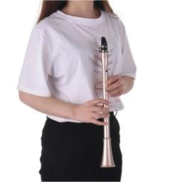 Bolso saxofone abs sax mini saxofone portátil pouco saxofone com saco de transporte instrumento de vento de madeira - Image 6