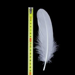 10/50/100 peças penas de ganso naturais tingidas várias penas para artesanato joias de casamento acessórios de festa 15-20cm/6-8 polegadas - Image 6
