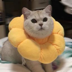 Coleira de Recuperação para Animais de Estimação, Cirurgia Anti-Mordida, Anti-lamber, Proteção para cicatrização de feridas, Gatos, Girassol - Image 3