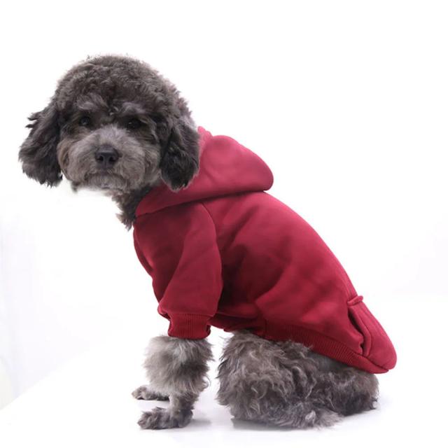 Moletom Esportivo Básico com Capuz para Cães e Gatos: Casaco de Inverno Quente e Confortável com Bolso