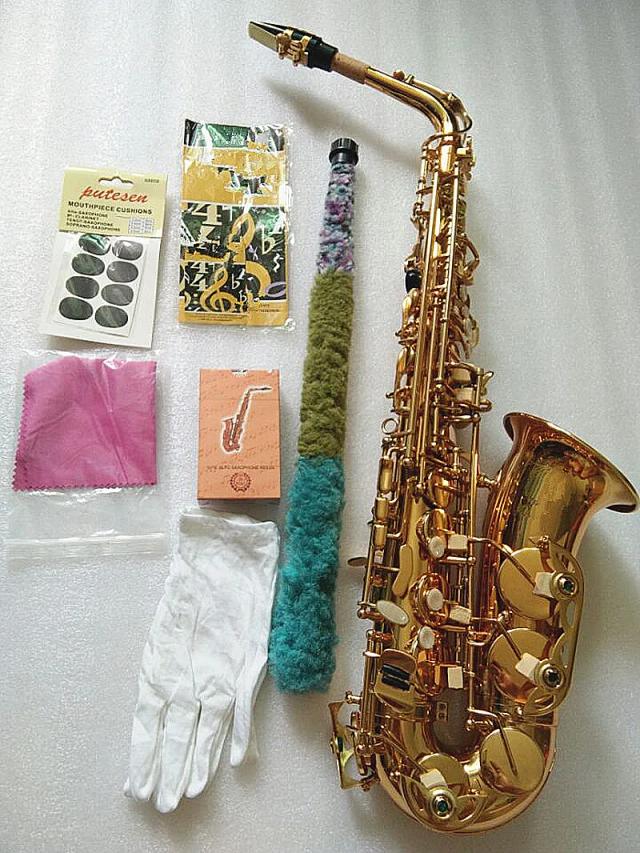 Saxofone Alto Profissional E-Flat em Latão Banhado a Ouro com Botões de Pérola e Estojo Inclusos