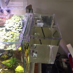 Transparente Fish Tank Isolation Box com bomba de água, montagem na parede, externo Aquarium Breeding Box, Fish Bowl Incubadora - Image 5