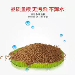 Pequeno peixe micro-grão de peixe pavão peixe lâmpada de alimentação de peixes alimentos para peixes ornamentais comida de peixe tropical juvenil grão de peixe - Image 4