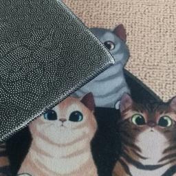 Cão personalizado Bem-vindo Mat, Capacho personalizado com o nome da foto do animal de estimação, Corredor Floor Mats, Home Decor Acessório - Image 3