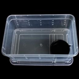 Terrário para répteis, caixa de plástico transparente, transporte de insetos, caixa de alimentação para reprodução, transporte de comida viva, drop shipping - Image 5