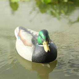 Decoy plástico do pato com quilha flutuante ponderada, Pesca e caça, 2x - Image 5