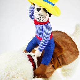 Roupa cosplay para cães e gatos, roupas para cães, camiseta, equipamento de equitação de gatos, roupas para animais mais vendidos, 2024 - Image 5
