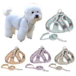 Peiteira para coleira de cães e gatos, conjunto ajustável com coleira de chumbo para gatinhos e cachorros pequenos chihuahua - Image 1