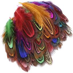 20/100 pces faisão penas para artesanato diy marabou penas jóias fazendo decoração de casamento pluma artesanato acessórios 4-8cm - Image 1